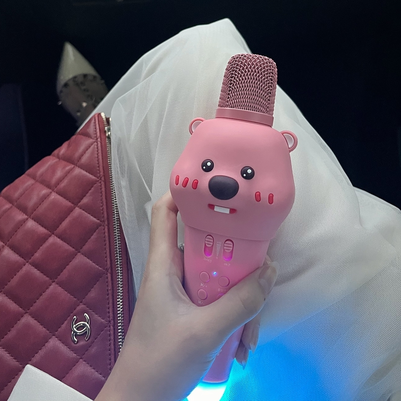 카롱이